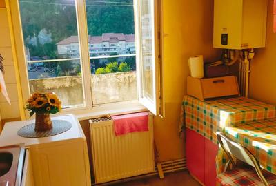 Apartament cu 5 camere decomandat în Central - 9