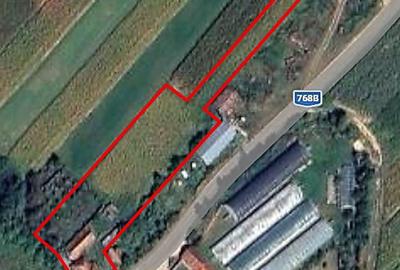 Casă cu 5 camere cu Teren 4122 Mp în Cociuba Mare - 15