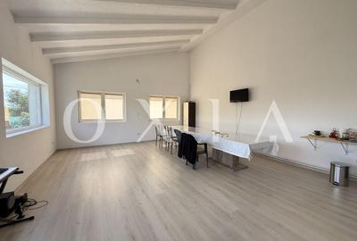 LX297 Casa Parta, spatioasa, teren generos - 6