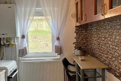 Garsonieră decomandată în Petros - 3