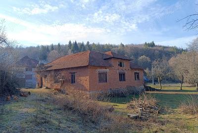 Casă cu 4 camere în Cărpinet - 1