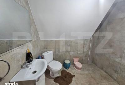 Casă cu 4 camere cu Teren 4565 Mp în Avram Iancu - 18