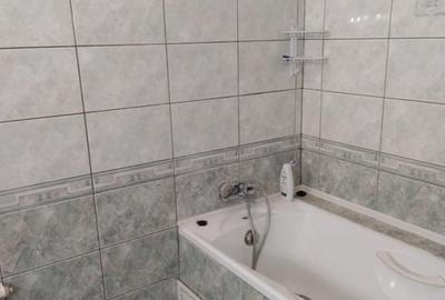 Casă individuală cu 9 camere cu Canalizare în Parcul Circului - 17