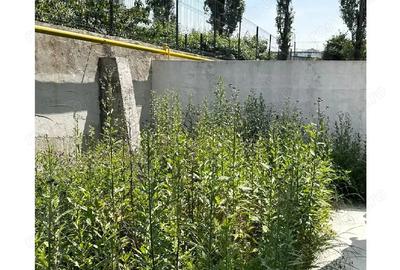 Casă cu 6 camere cu Teren 100 Mp în Roșu - 5