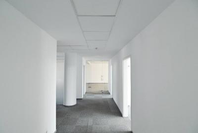 Grand Offices
, Floreasca, 317 mp  0% comision! - 14