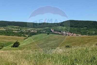 Teren în Bunești - 17