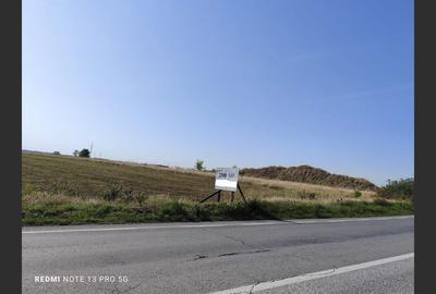 Teren agricol 2500 mp, Cocorăștii Colț - 4