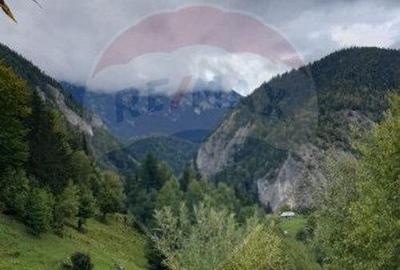 Comision 0 %/ Teren extravilan 13,570mp Pestera / Priveli... - 10
