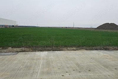 Teren intravilan, zona Calea Sagului - 3