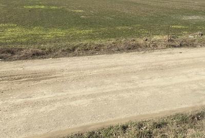 Teren de 6920 mp, în Exterior Vest - 1