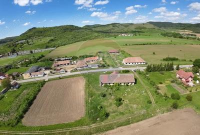 Teren de 3436 mp, în Hoghilag - 5