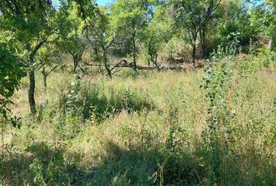 Spațiu comercial, în Berislăvești - 5