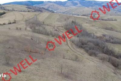 Teren de 4200 mp, în Barcani - 2