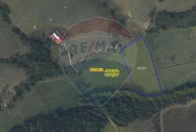 Teren de 10000 mp, în Nord