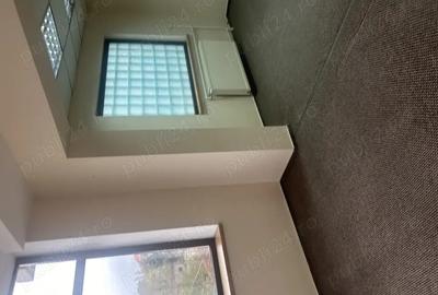 Proprietar inchiriez imobil cu multiple destinatii, zona Casa Presei Libere, 580m utili, 840m teren. - 3