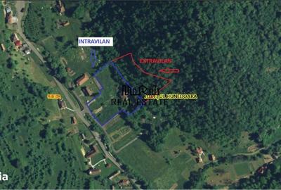 Casă cu 4 camere cu Teren 9563 Mp în Ribița - 11