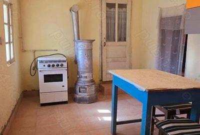 Vand casa la tara - 2