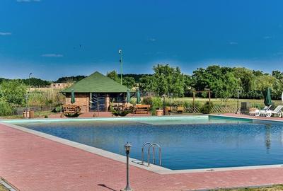 Sala de evenimente cu  piscina si foisor Biled COMISION 0 % CUMPARATOR - 1