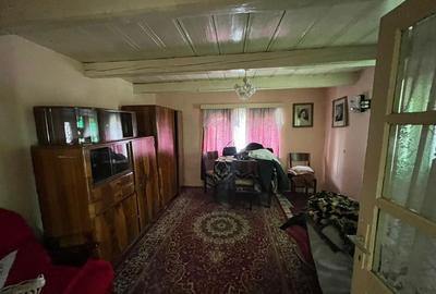 Casă cu 3 camere în Voivodeni - 8