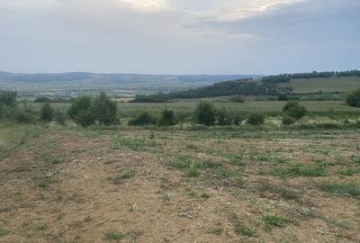 Spațiu comercial, în Central - 8