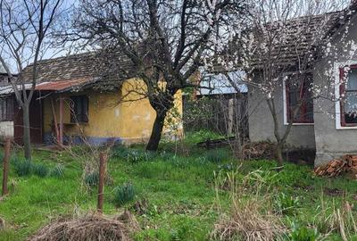 Casă cu 2 camere cu Teren 2000 Mp în Plenița - 1