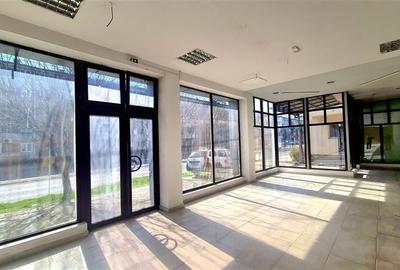 Spațiu comercial, de 485 mp, în Șagului - 4