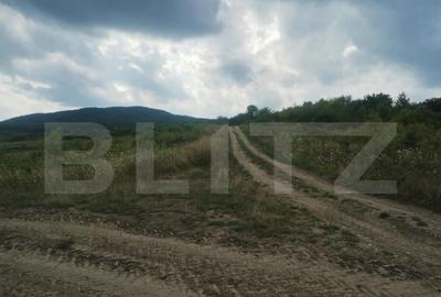 Teren extravilan, 51 ari,zona Sigmir - 1