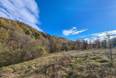 Teren de 3200 mp, în Valea Doftanei - 16