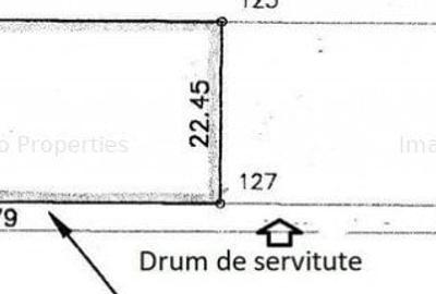 Teren Voluntari Padurea Baneasa Teren Voluntari Padurea Baneasa - 2