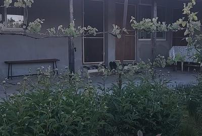 Casă cu 2 camere în Drăgănești - 4