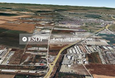 Vanzare Teren 10.000 mp - Rudeni, Chitila- ID 15475 - 7