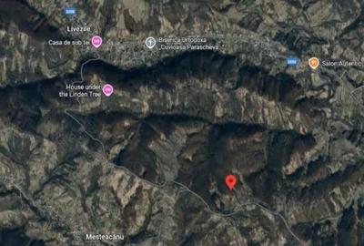 Teren Faneata extravilan, Vizantea Livezi, ID: R2800539 - 6