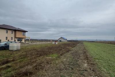 Teren de 5000 mp, în Mocira - 1