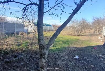 Casă cu 3 camere cu Teren 1125 Mp în Parța - 12