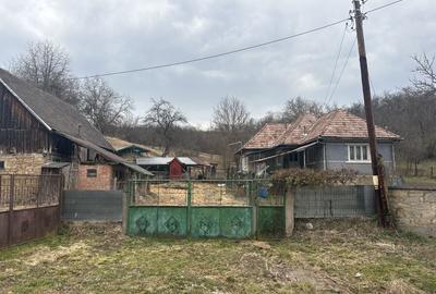 Casă cu 3 camere în Nadășu - 3