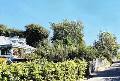 Casa de vanzare in Dancu - 1