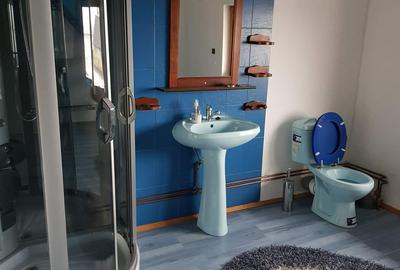 Casă cu 6 camere cu Teren 6000 Mp în Chichiș - 4