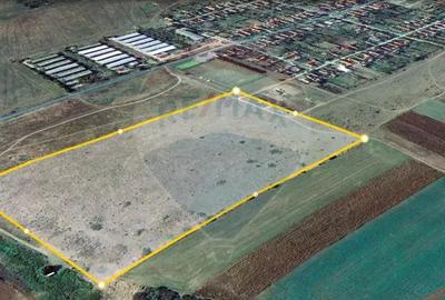 Teren extravilan Alunis-Arad. 92.700 mp Inchiriere pt parc fotovoltaic - 2