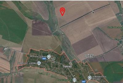 Teren extravilan Tiganasi, cota parte 1/5, ID: R2822453 - 6