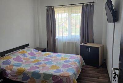 Apartament cu 4 camere decomandat în Cetate - 3