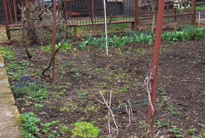 Casă cu 2 camere în Exterior Vest - 7