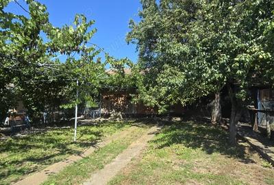 Casă cu 3 camere în Valea - 3