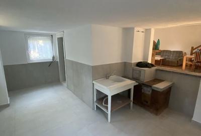Casă cu 4 camere în Horodnic - 1