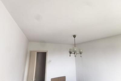 Apartament 2 camere/Park Lake/Campia Libertatii/LIviu Rebreanu - 2