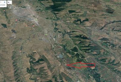 Teren de 7985 mp, în Beharca - 4
