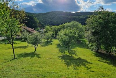 Casă cu 2 camere cu Teren 3103 Mp în Leșnic - 9