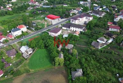 Proprietate Centru Radaseni - 2515 MP 74.990 Euro - 5