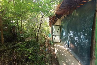 Casa batraneasca la Buzeni - 6