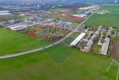 Teren 1,5ha intravilan curti constructii de vanzare Centura Arad Nord - 3