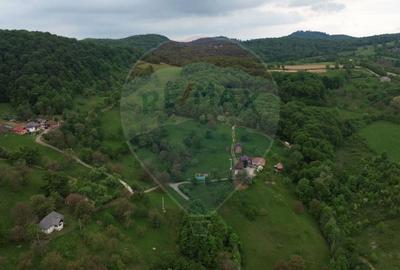 Hotel/Pensiune, de 600 mp, în Groși - 9